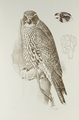Lot 129 - CHARLES FREDERICK TUNNICLIFFE (BRITISH, 1901-1979) (10)