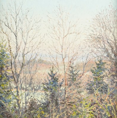 Lot 133 - MERVYN GOODE (BRITISH, B. 1948) (2)