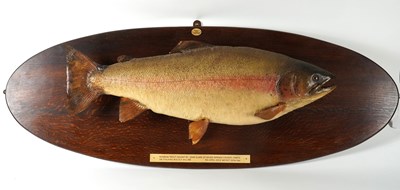 Lot 645 - TAXIDERMY: A MOUNTED RAINBOW TROUT TROPHY