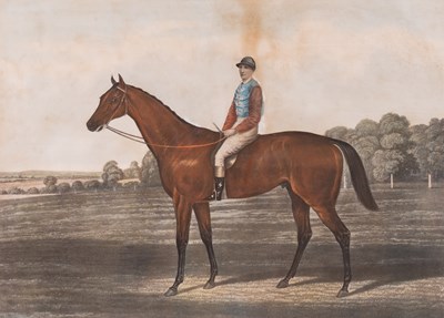 Lot 387 - AFTER R. POWELL (7)